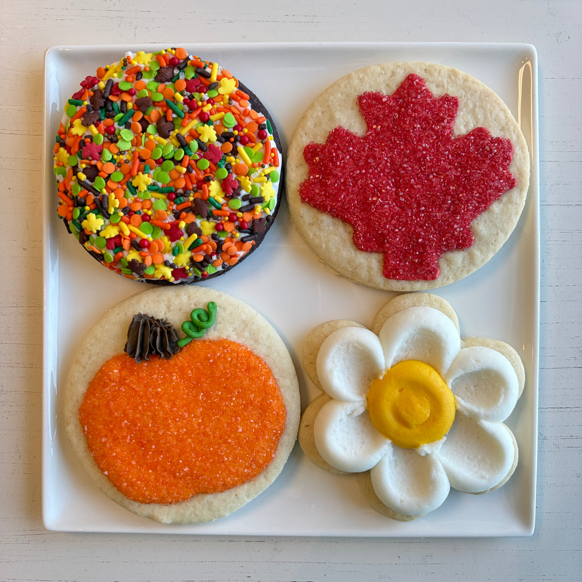 Single - Fall Sugar Cookies